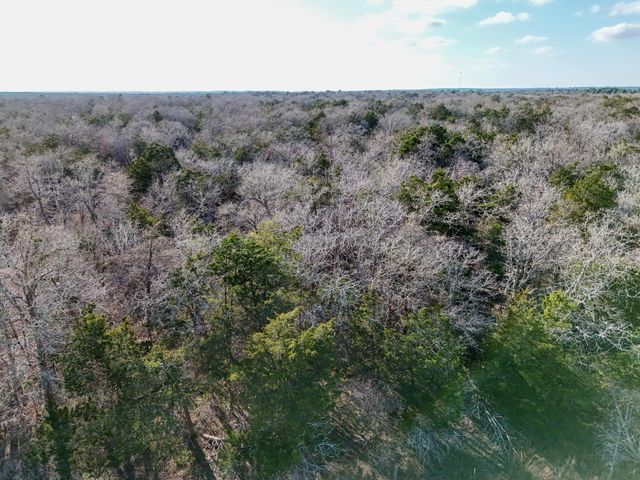 Lot 14 Antioch RD, Paige, TX 78659