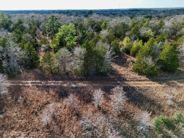 Lot 14 Antioch RD, Paige, TX 78659