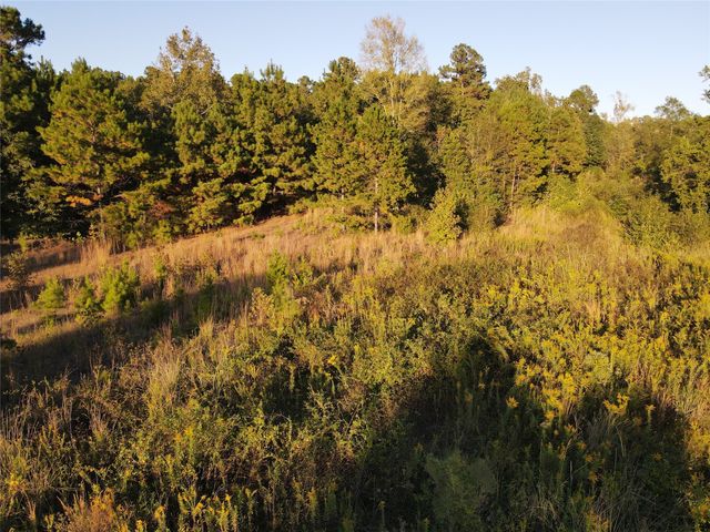 Tract 42 31 Highway, Tyler, TX 75705