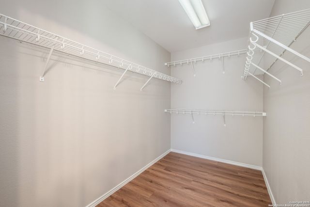 15847 Manes Grove, San Antonio, TX 78247