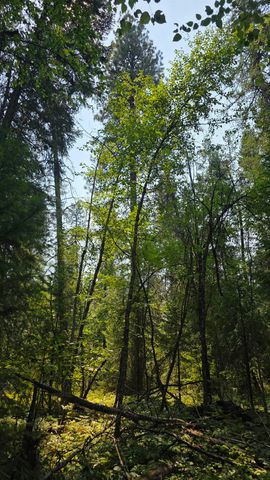 13 Lakeside Dr, Newport, WA 99156
