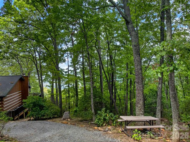 50 Cherokee Lane 3, Swannanoa, NC 28778