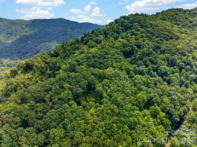 50 Cherokee Lane 3, Swannanoa, NC 28778