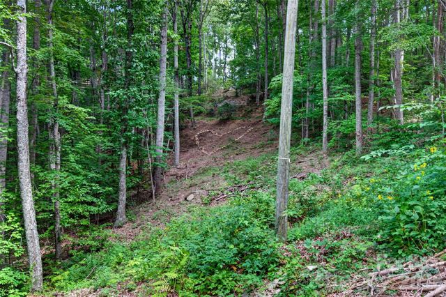 50 Cherokee Lane 3, Swannanoa, NC 28778