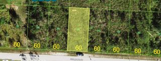 27450 Chinquapin DRIVE, Punta Gorda, FL 33955