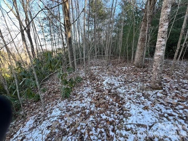 621 Round Top Road, Almond, NC 28702