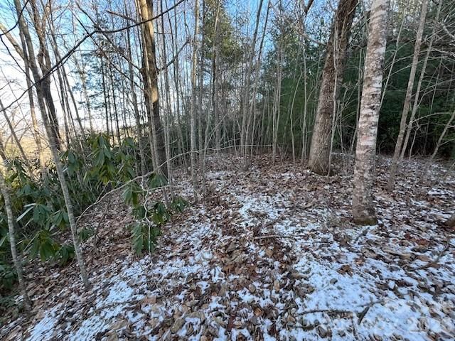 621 Round Top Road, Almond, NC 28702