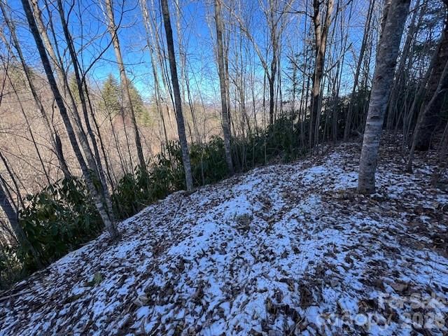 621 Round Top Road, Almond, NC 28702