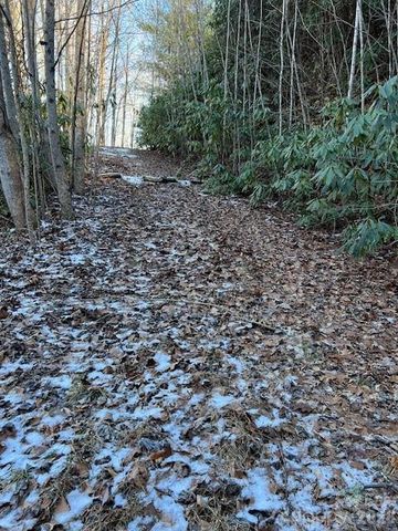 621 Round Top Road, Almond, NC 28702