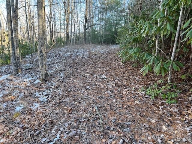 621 Round Top Road, Almond, NC 28702