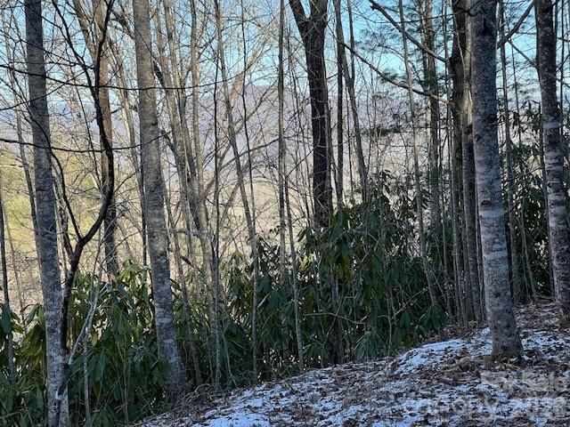 621 Round Top Road, Almond, NC 28702