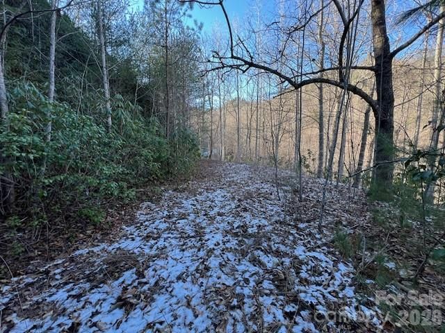 621 Round Top Road, Almond, NC 28702