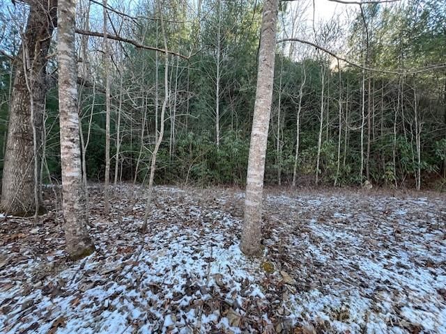 621 Round Top Road, Almond, NC 28702