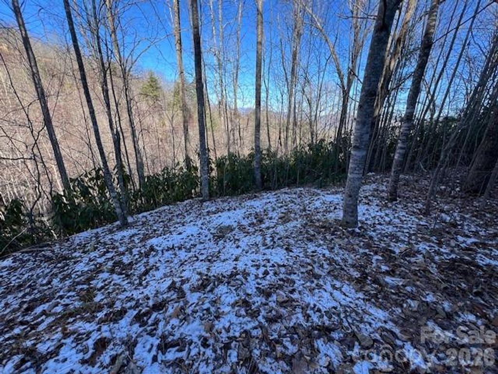 621 Round Top Road, Almond, NC 28702