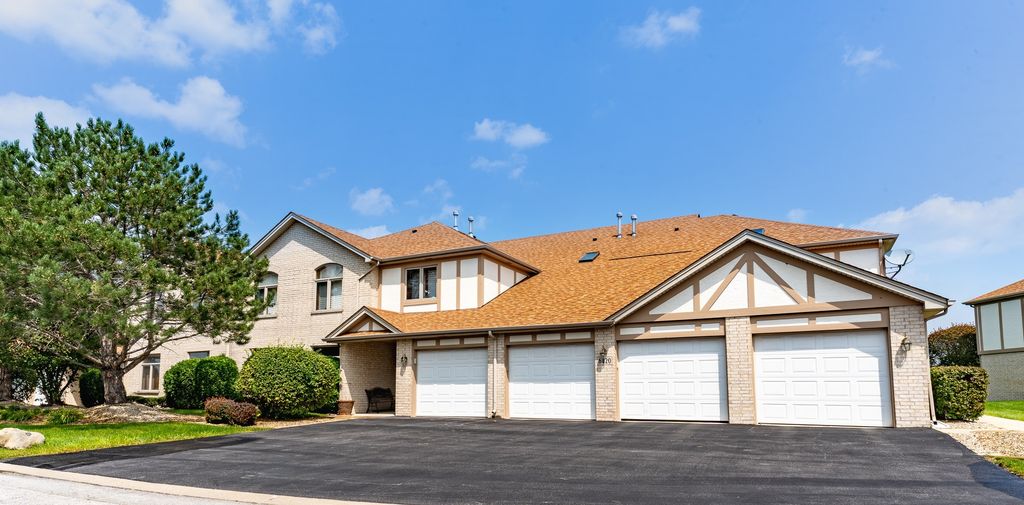 6420 Pine Trail Lane 2, Tinley Park, IL 60477 — exterior