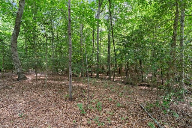 113 Spivey Farm LN, Suffolk, VA 23438