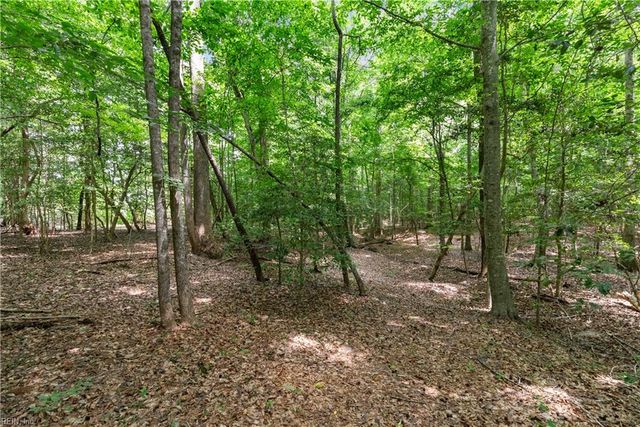 113 Spivey Farm LN, Suffolk, VA 23438