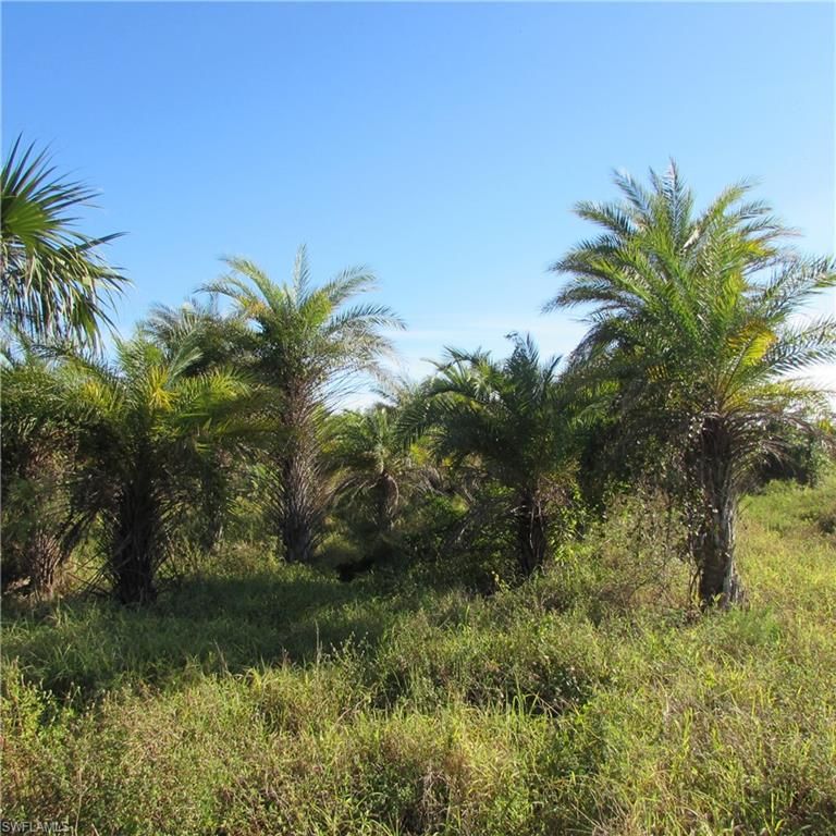 10011 Stringfellow RD, ST. JAMES CITY, FL 33956 — photo 3