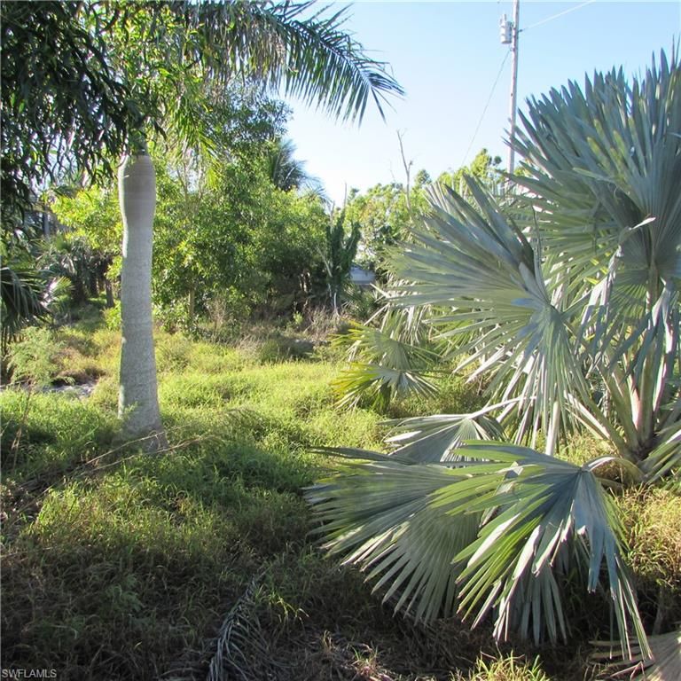 10011 Stringfellow RD, ST. JAMES CITY, FL 33956 — photo 4