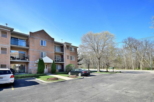 5351 N East River Road 203, Chicago, IL 60656