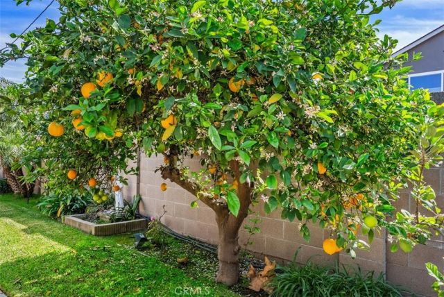 4282 Crystal, Cypress, CA 90630