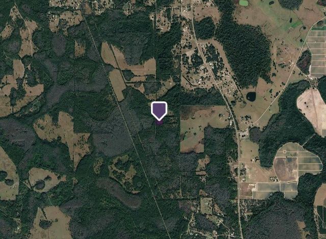 PAS LANE, Polk City, FL 33868