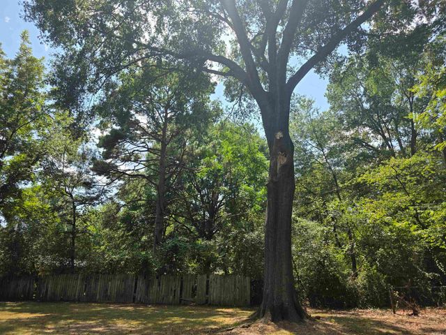 2106 Independence Avenue, Conway, AR 72034