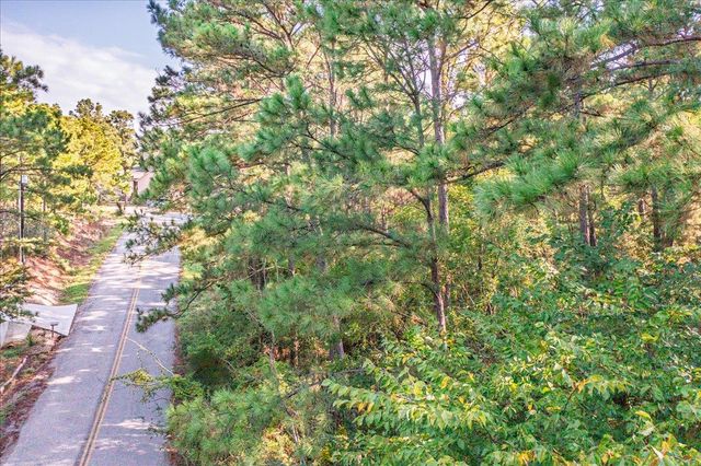 0 AKALOA DR, Bastrop, TX 78602