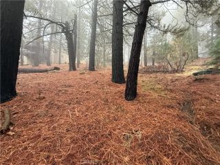 0 Poplar, Running Springs, CA 92382