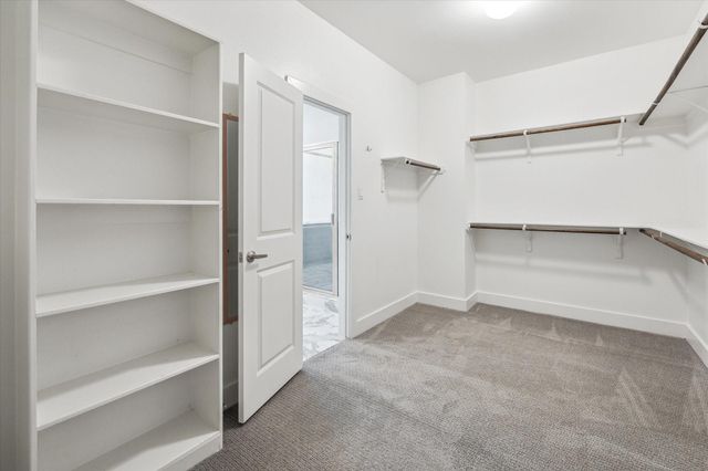 8812 Hollister Pine Court, Houston, TX 77080