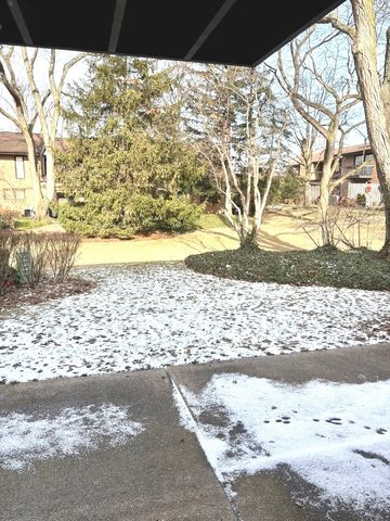 1720 Wildberry Drive B, Glenview, IL 60025