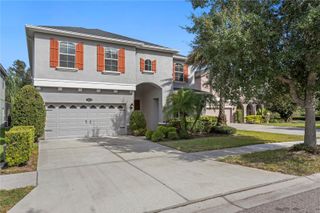 19303 WATER MAPLE DRIVE, Tampa, FL 33647