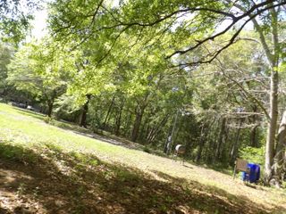 1558 Scott Hill Road Lot 4-A, Charleston, SC 29412