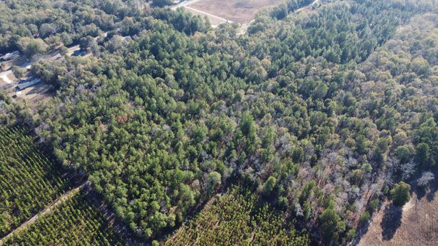 00 Jeffcoat Road, Wagener, SC 29164