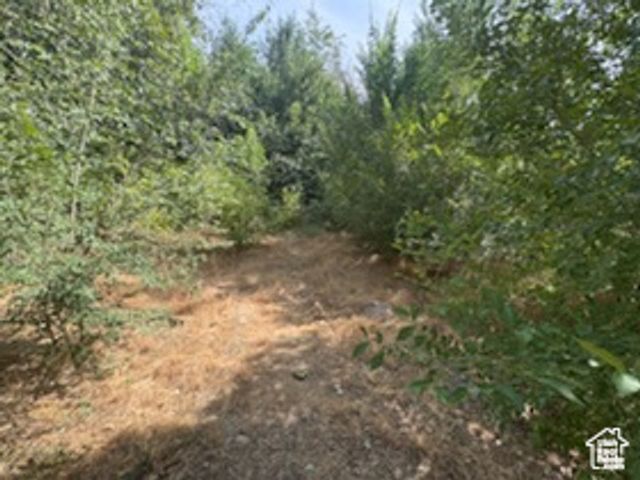 1648 E 4150 S, Salt Lake City, UT 84124