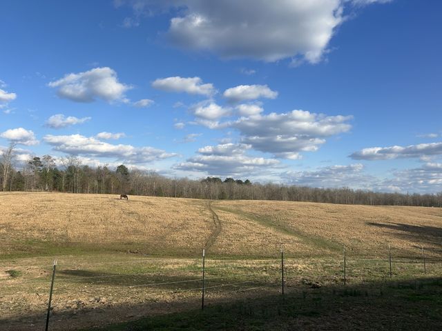 5132 Sulphur Creek Rd, Big Sandy, TN 38221