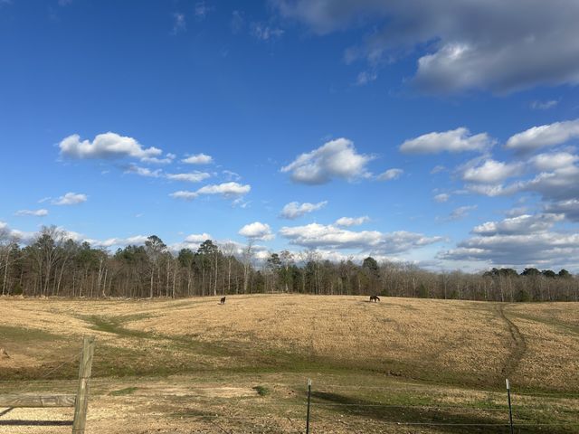 5132 Sulphur Creek Rd, Big Sandy, TN 38221