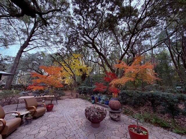 1217 Antigua Drive, Mount Pleasant, SC 29464