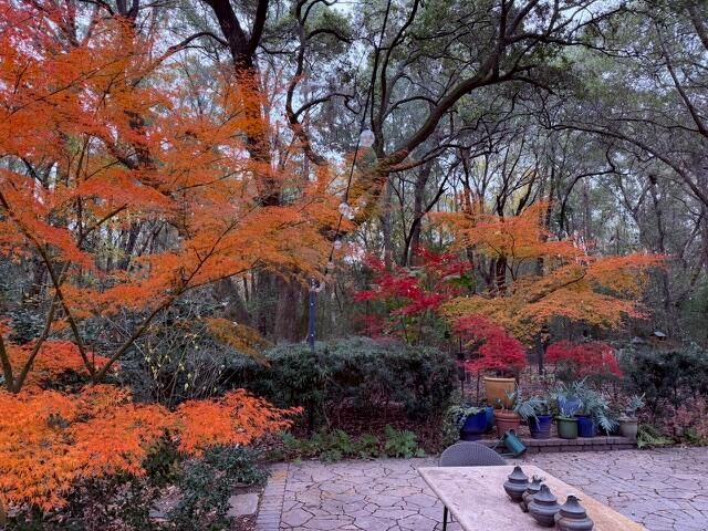 1217 Antigua Drive, Mount Pleasant, SC 29464