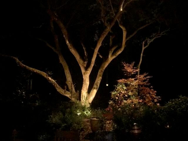 1217 Antigua Drive, Mount Pleasant, SC 29464