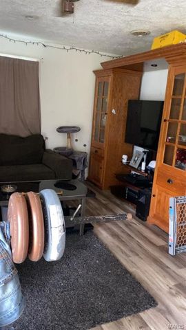 823 W Washington Street, St James, MO 65559