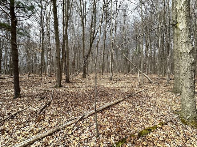 7607 Snell Road, Urbana, NY 14840