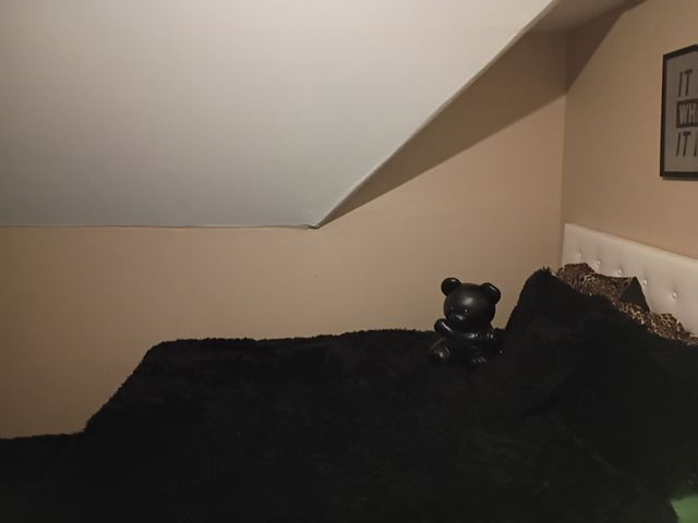 829 W 9TH Street, Erie, PA 16502