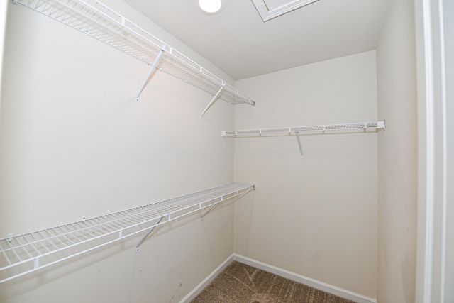 355 Conifer Street, Sumter, SC 29154