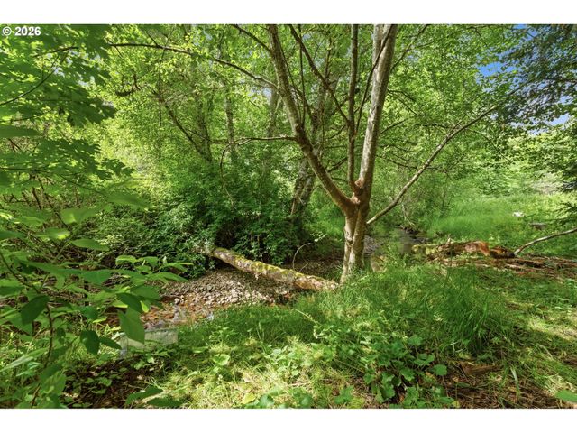82520 VINEMAPLE Rd, Elsie, OR 97138