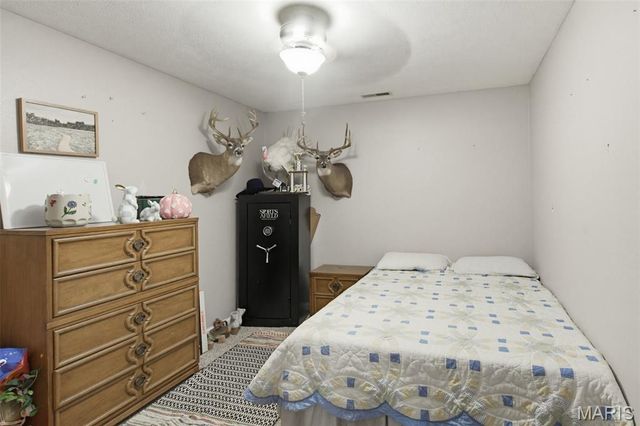 115 Snapping Turtle Lane, Doniphan, MO 63935