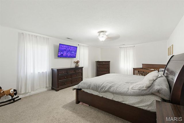 115 Snapping Turtle Lane, Doniphan, MO 63935