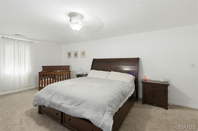 115 Snapping Turtle Lane, Doniphan, MO 63935