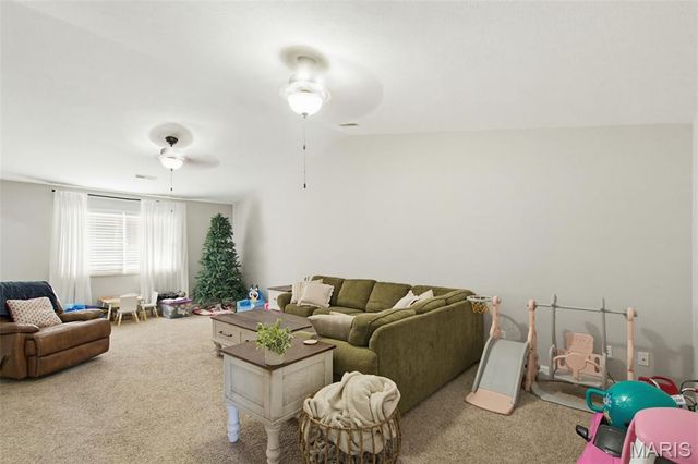 115 Snapping Turtle Lane, Doniphan, MO 63935