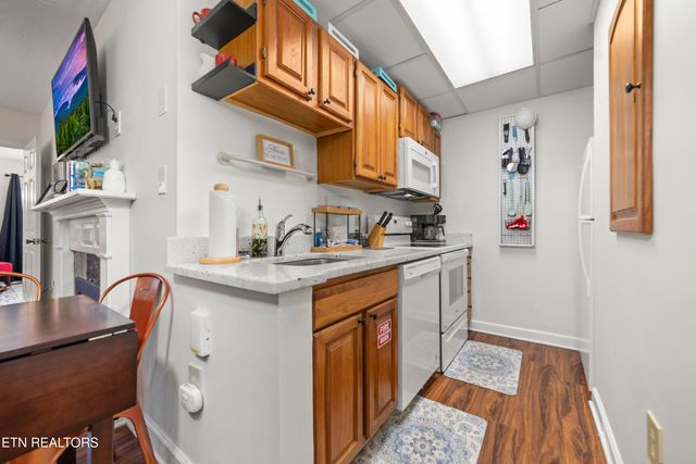 102 Baskins Creek Bypass 507, Gatlinburg, TN 37738